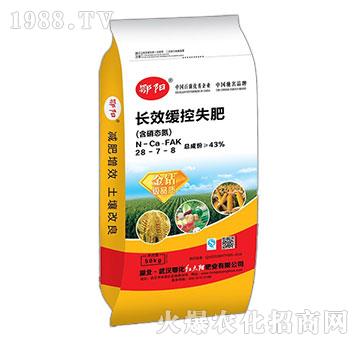 �L(zh��ng)Ч����ʧ�ʣ������B(t��i)����28-7-8-�t̫�