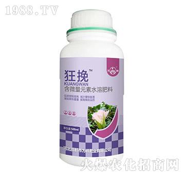 ��΢��Ԫ��ˮ�ܷ���-����-���