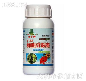 ��(x��)��������-��-��?t��ng)����? width=