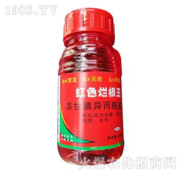 62%�ݸ�좮������}-�tɫ������-�W�ρ�