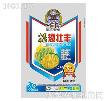 С��ˮ�������S-��ʿ��