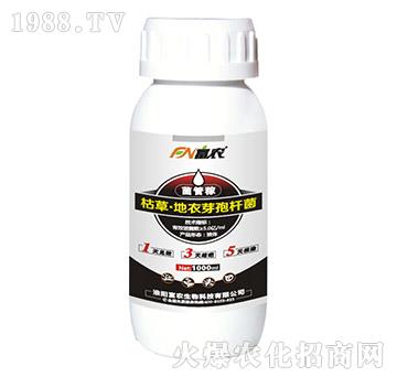 �ݲݡ�����ѿ�ߗU��-���ܼ�-���r(n��ng)