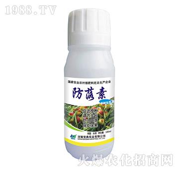 ���䌣��-������-���䌍(sh��)�I(y��)