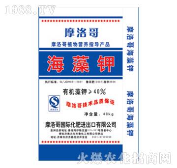 40%�����-Ħ���-���R��