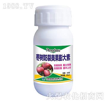 ����������������-���䌍(sh��)�I(y��)