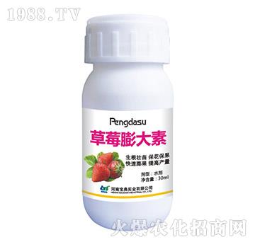 ��ݮ�����-���䌍(sh��)�I(y��)