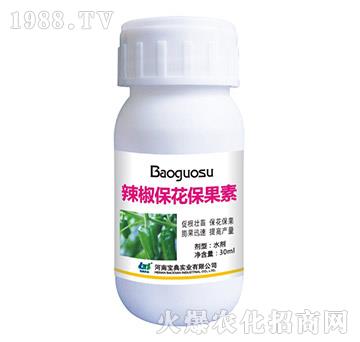 ��������������-���䌍�I(y��)