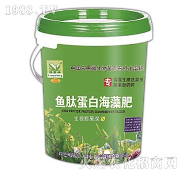 �~(y��)�ĵ��׺����-����