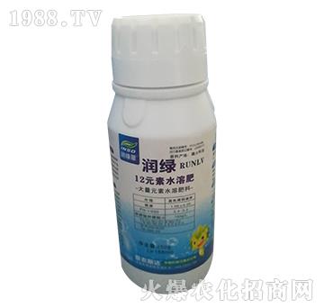 12Ԫ��ˮ�ܷ�-���G-���r˹�_