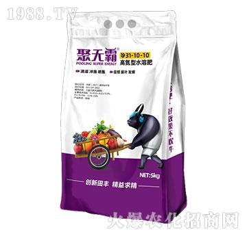 �ߵ���ˮ�ܷ�31-10-10-�۟o��-���S