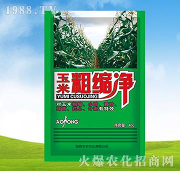 ���״ֿs��-�S�r�r��