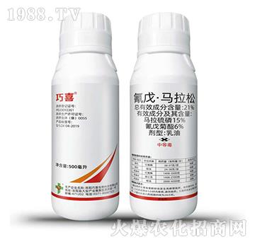 21%���졤�R����-��ϲ-�����_(d��)