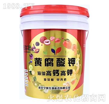 ������}���-�S�����-�֠���-���W����