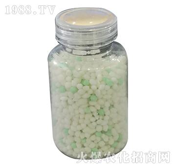 �V���\�F�i-���P����