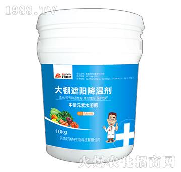 �������(y��ng)���؄�-������