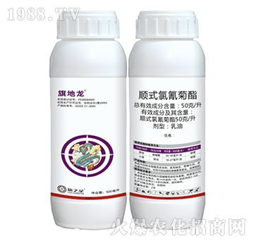 50��ÿ���ʽ�������-�����-��֮��