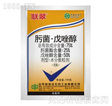 75%뿾�������-��-���r��