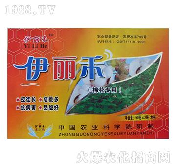 �޻������~���-������-�r�ɸ�