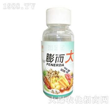 ֲ���{��(ji��)��-�����-ʥ�i