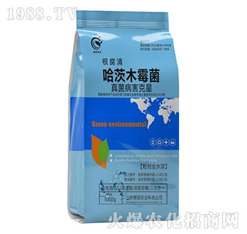 ����ľù��-������-����r�I(y��)