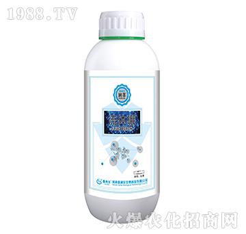 ���w��-��(r��n)�S-̩����