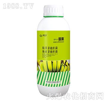 �㽶���ÿݲݡ�����ѿ�ߗU��-�n��-̩����