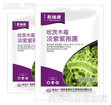 ���ġ��������߾�-�漚(x��)��-̩����