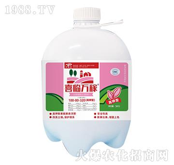 ����ֳ��ˮ�ܷ���100-80-320-ϲ�R�f(w��n)��-������