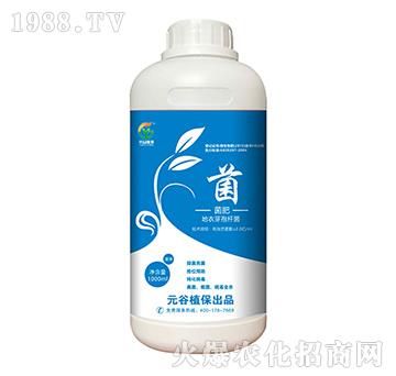 ����ѿ�ߗU��-Ԫ��ֲ��