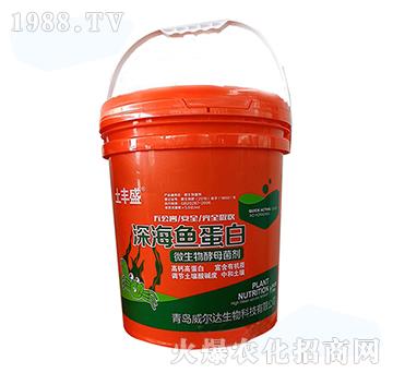 ��~(y��)����-���Sʢ-�����_(d��)