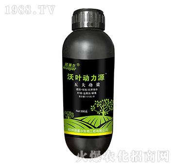 ���~����Դ-�Z����