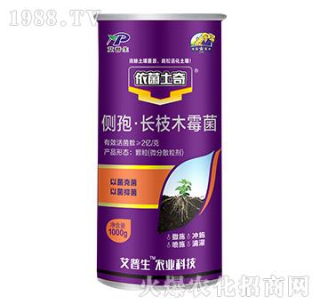 ���ߡ��L֦ľù��-��������-������