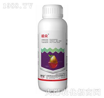 ���x(ch��ng)�-����-��Ҋ(ji��n)����