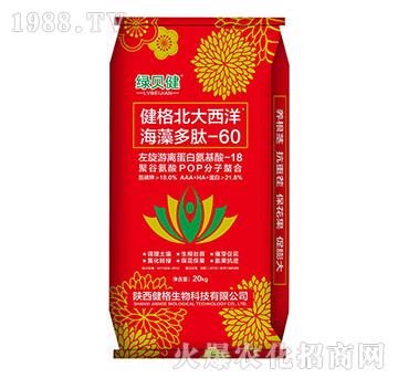 ���񱱴����������-60-�Gؐ��-��������