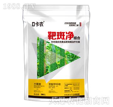 �а߃��M��-����