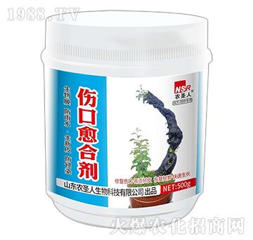 �������τ�-�rʥ��