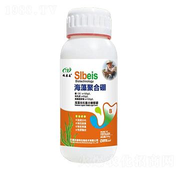 ����ۺ���-ʩ��ɭ-��ɭ��