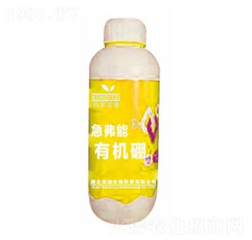 �ЙC��-������-����(chu��ng)����