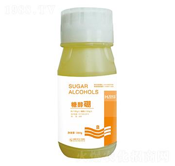 �Ǵ���-�~����