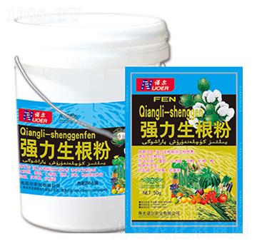 ��(qi��ng)�������� �R������