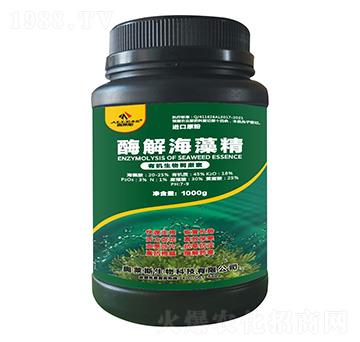 ø�⺣�徫-�W�R˹