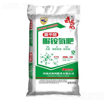 ���@����-�����L(f��ng)