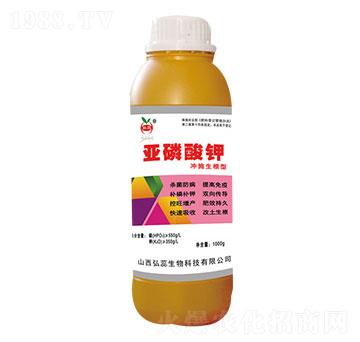 �������-����