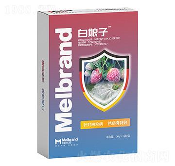 �׷۲����P����Ч ������ ������