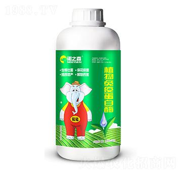 ֲ�����ߵ���ø �Z֮ɭ