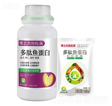 �����~(y��)����-��֮������M(m��n)-�S�՘�(l��)