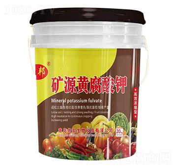 �VԴ�S����� ����