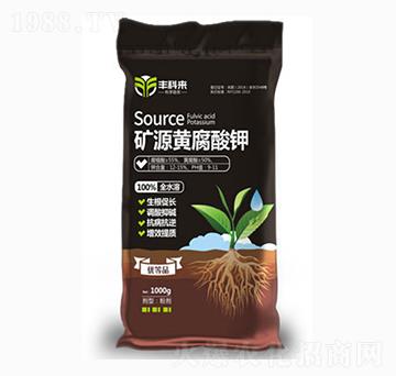 �VԴ�S�����-�S�Ɓ�-����������