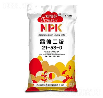 ���w���@21-53-0 �ظ��� ���_����