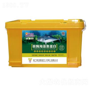 ̼ø�����~(y��)����-��(y��u)����-����r(n��ng)�I(y��)